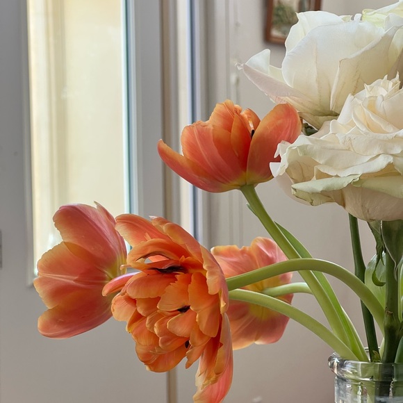 Meet your Posher, Elise - Picture 4 of 10